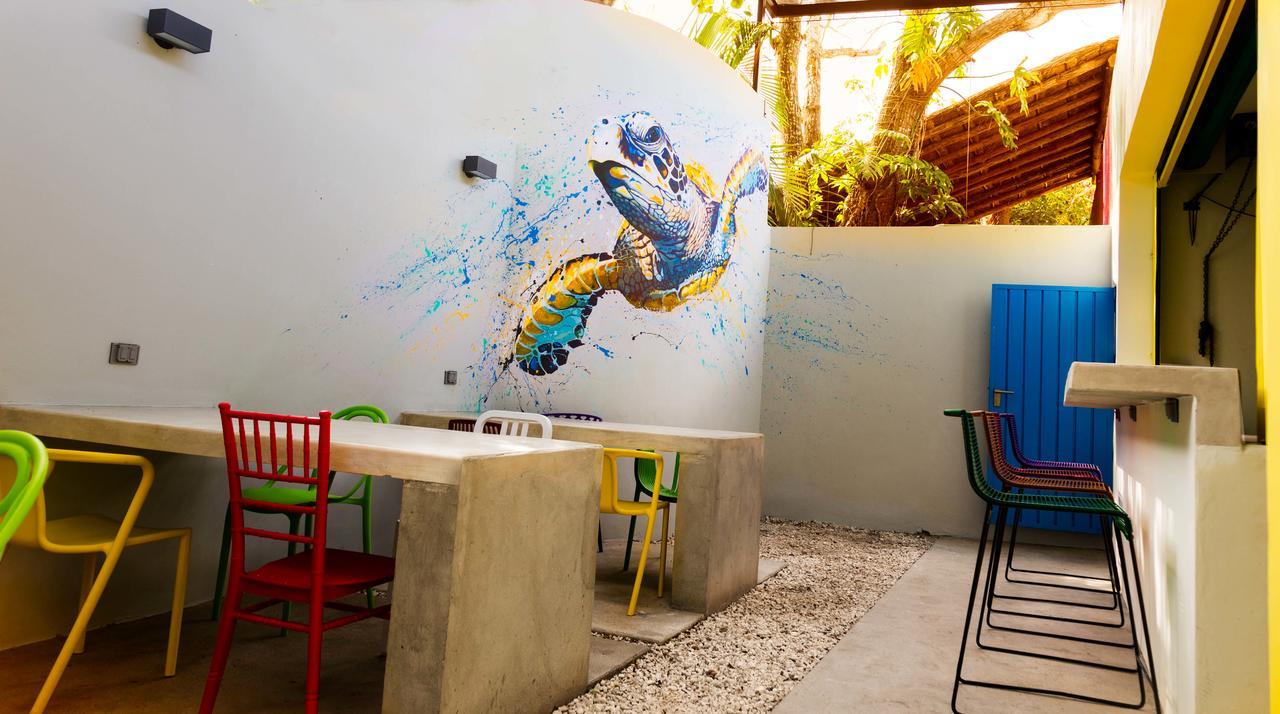 Hostel Frente Al Mar Tropico 20º Косумел Екстериор снимка